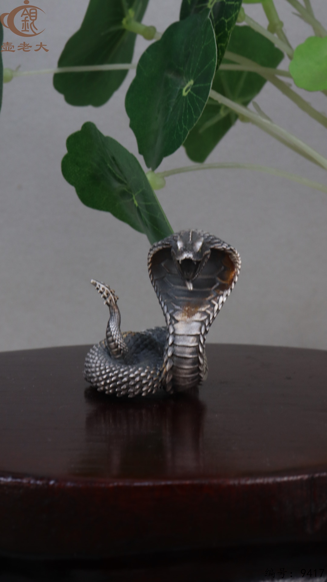 微信图片_20250520174913